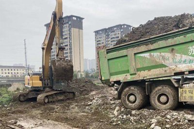 洋溪河防汛抗洪抢险工程